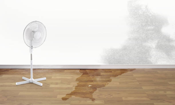 Tiburon, CA Water damage restoration Company