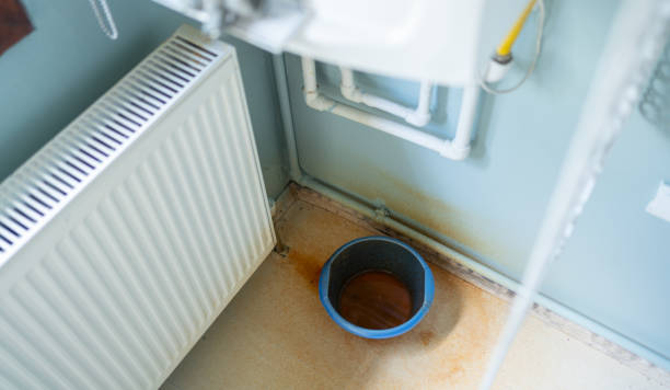 Best Flood restoration services  in Tiburon, CA