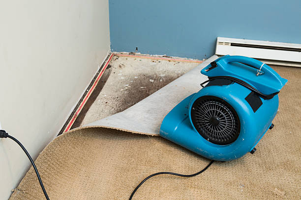 Professional Water damage restoration in Tiburon, CA